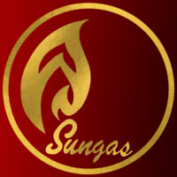Solargas International Phils. logo - Similar company to Filipino-Chinese Job Fair (Fil-Chi Job Fair)