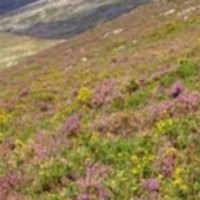 Heath Studios Ltd logo - Similar company to Athletic Elite