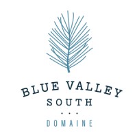 Blue Valley South logo - Similar company to Dch3
