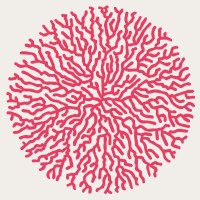 Hypha Studios logo - Similar company to Bioartbot