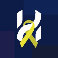 Halcyon IT logo - Similar company to Blowfish Technology Ltd