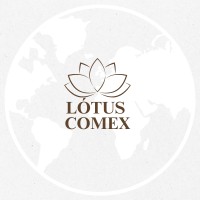 Lótus Comex logo - Similar company to Aml Logistics