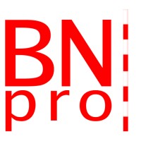 BNpro logo - Similar company to Gbm Group - Authorized Service Partner Of Amberg Infra 7D