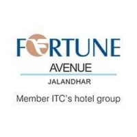 Fortune Avenue Jalandhar logo - Similar company to Jsdc Group - India