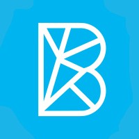 Boosterize logo - Similar company to Bamboo Digital