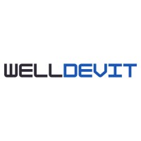WellDevit logo - Similar company to Datayouz