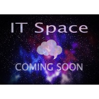 IT Space logo - Similar company to Dervi