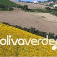 Olivaverde logo - Similar company to Flexcap