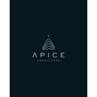 Ápice Consultora logo - Similar company to Fundación Enhué