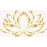 Comprehensive Integrative Health Care logo - email format related to Beyond Primary Care