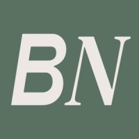 Boutique Network logo - Similar company to Byrdeyeview