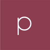 Panavis logo - Similar company to Vanoma