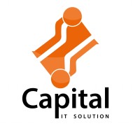 Capital ITs logo - Similar company to Citylink Technologies