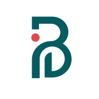 Bazaar Consulting logo - Similar company to Bazaar-It