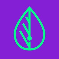 Simple Leaf Studio logo - Similar company to Weblitz Srl