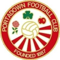 Portadown Football Club logo - Similar company to Coleraine Football Club