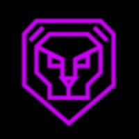 LIONCORR TECHNOLOGY SERVICES logo - Similar company to Metbridge