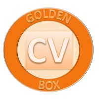 Golden CV Box logo - Similar company to Wye | واي