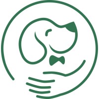 Fizgig logo - Similar company to Arcesso