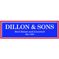 Dillon & Sons Real Estate and Livestock logo - Similar company to Lifeline Hunter