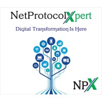 NetProtocol Xpert logo - Similar company to Secnick