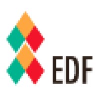 Ethiopian Diaspora Fellowship logo - Similar company to Ethiopian Diaspora Trust Fund