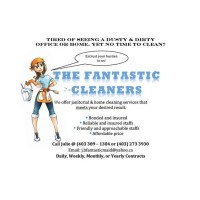 The Fantastic Cleaners logo - Similar company to Digital Sharma