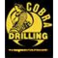 Cobra Drilling Inc logo - Similar company to Revolution Spooling Solutions