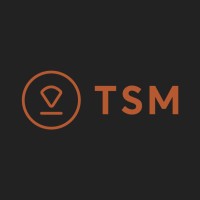 TSM - Metal Welding Technique logo - Similar company to Tecsit