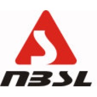 NBSL Emea logo - Similar company to Zonzo Srl