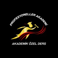 Profesyoneller Akademi logo - Similar company to Erzincan Binali Yıldırım Üniversitesi Kariyer Merkezi