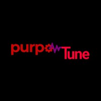 Purpotune logo - Similar company to Moriah Impact