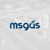 MSGÁS - Companhia de Gás do Estado de Mato Grosso do Sul logo - Similar company to Alb Contabilidade