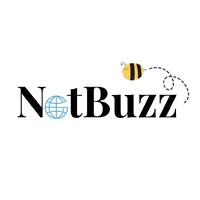 NetBuzz logo - Similar company to Netbuzz Digital Solutions