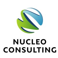 Nucleo Consulting Pte Ltd logo - Similar company to Cybertron Academy