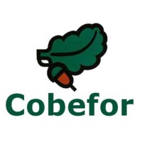 COBEFOR - Consultora Bética Forestal logo - Similar company to Agricultura Con Esencia