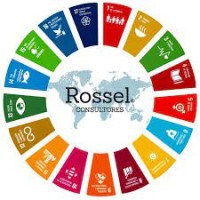 Rossel Consultores logo - Similar company to Roque