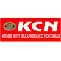 KCN Group India logo - Similar company to Automobile Scrapyard