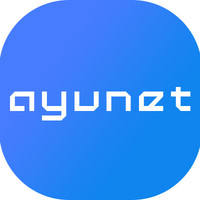 AYUNET logo - Similar company to Metafrase Ciberseguridad | Ciberresiliencia