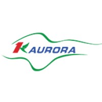 Kingaurora led display logo - Similar company to Shenzhen Esvison Technology Co., Ltd