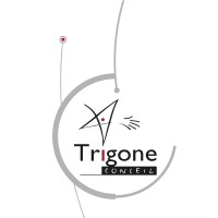 Trigone-Conseil S.A. logo - Similar company to Fiduscom Srl
