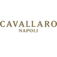 CAVALLARO NAPOLI logo - Similar company to Beaumotica