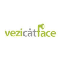 VeziCatFace.ro logo - Similar company to 2Parale