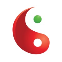 Chillisoft Solution Services (Pty) Ltd logo - Similar company to 2Cana Solutions