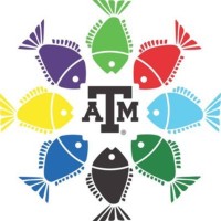TAMU Fish Camp logo - Similar company to Texas A&M Flex