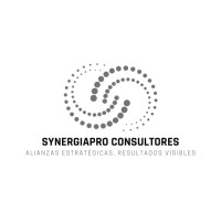 SynergiaPro Consultores Ecuador logo - Similar company to Premium Logistics