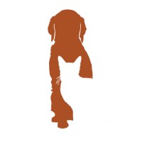 Texas Coalition For Animal Protection