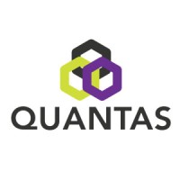 Quantas Advisors logo - Similar company to Transparent By Design