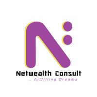 Netwealth Consult logo - Similar company to Icidat Technology Ltd