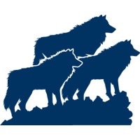 Yaacov Steinberg Sales Coaching logo - Similar company to Reb Adam Coaching